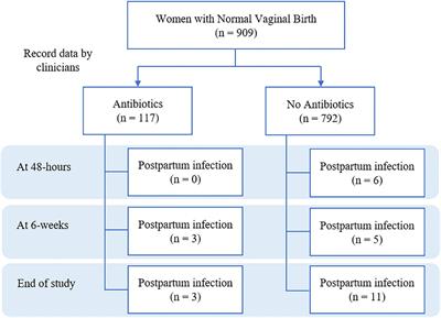 Incidence of postpartum infections and outcomes associated with antibiotic prophylaxis after normal <mark class="highlighted">vaginal birth</mark>